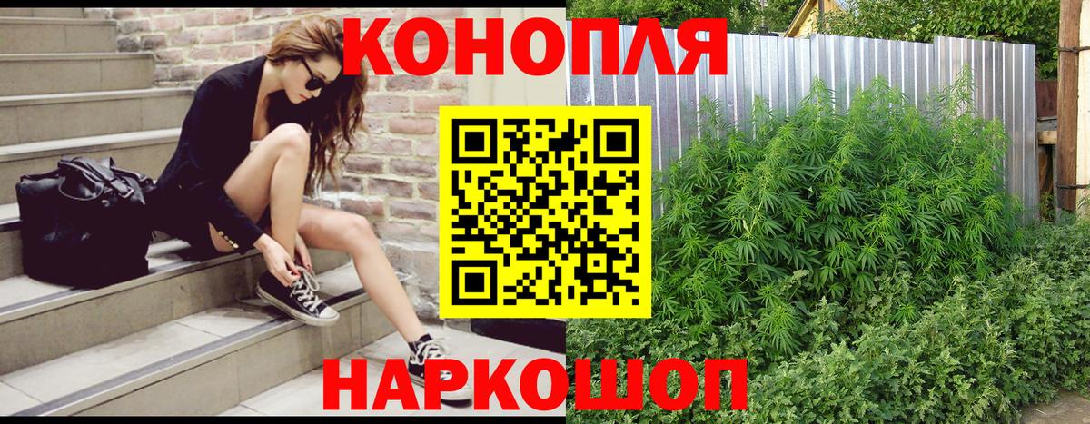 МАРИХУАНА гибрид Кимовск